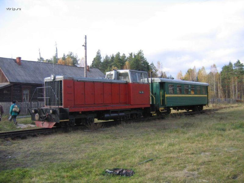 Узкоколейный поезд в Головановой Даче
