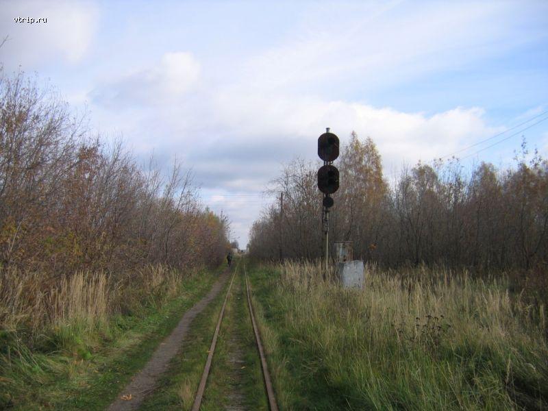 Выходной светофор станции Тумская