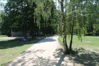 Дорожки в парке Тиргартен