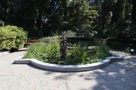 Фотографии Никитского ботанического сада