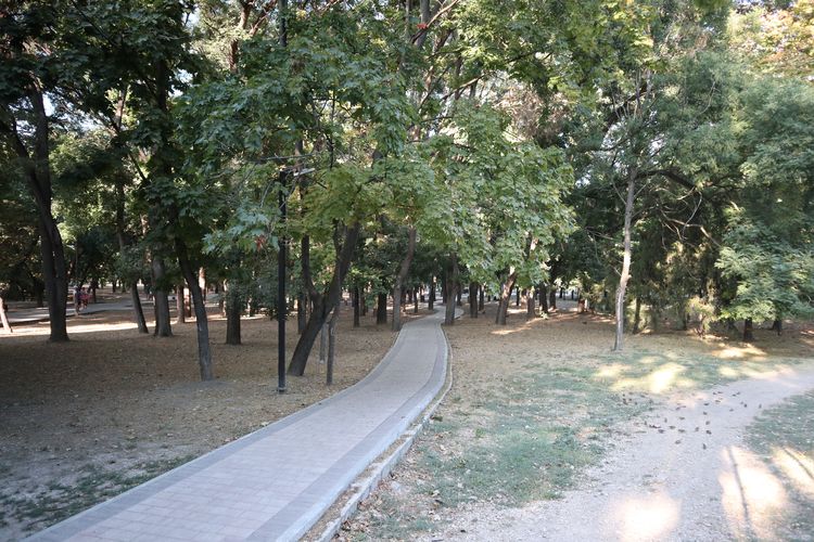 Комсомольский парк в Феодосии