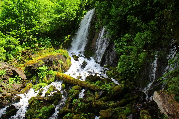 Водопад Птичий клюв в Абхазии
