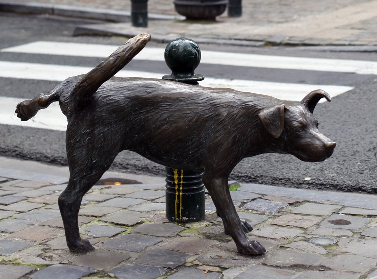 Писающая собачка в Брюсселе