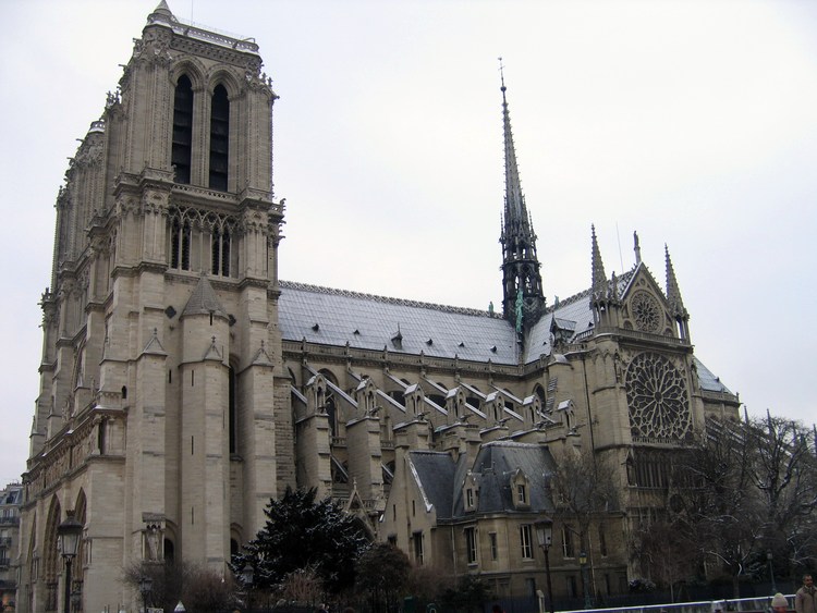 Вид Собор Парижской богоматери сбоку