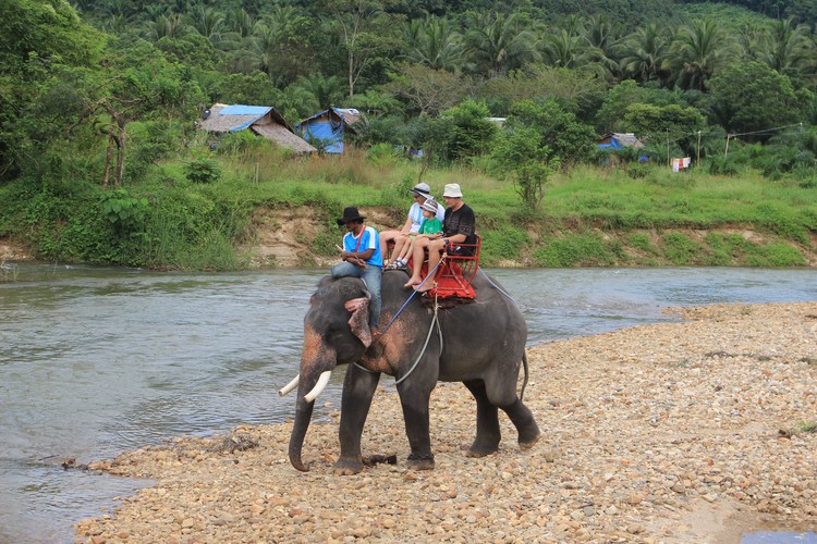 Слон с туристами