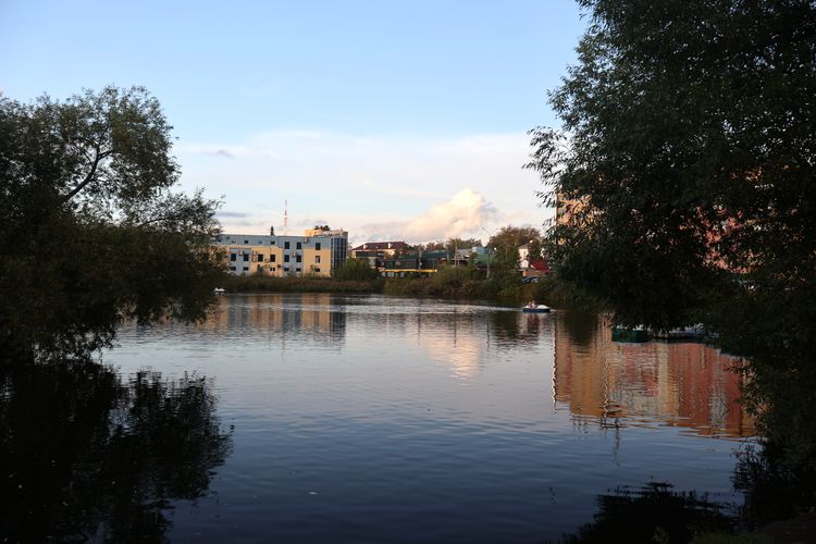 Пруд в городском парке