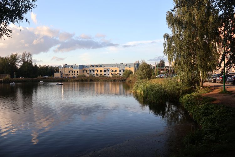 Пруд в городском парке