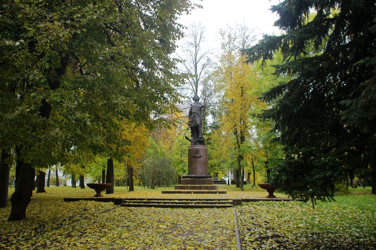 Памятник Петру I в Измайлове
