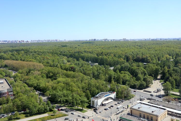 Измайловский парк в Москве