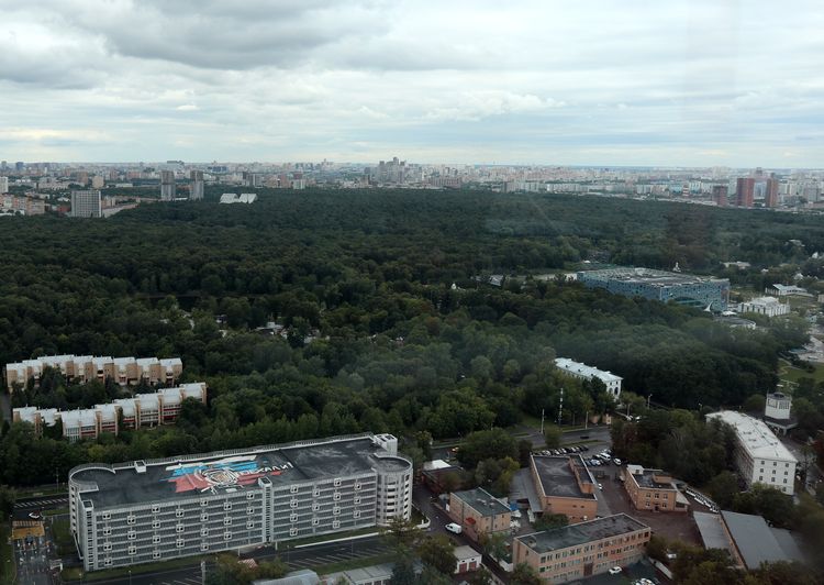 Ботанический сад Цицина в Москве