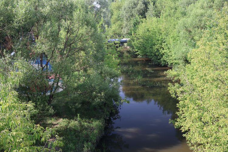 Яуза в парке Свиблово