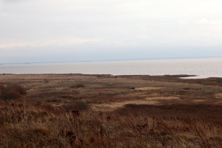 Горьковское водохранилище в Ивановской области