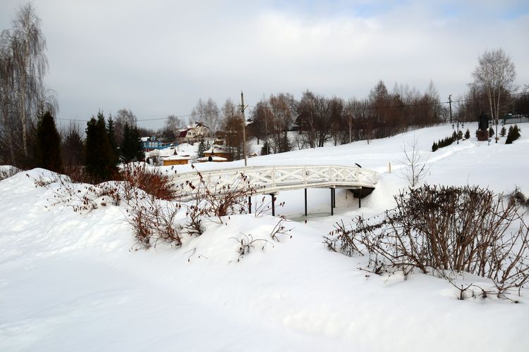 Пруд в Сартакове