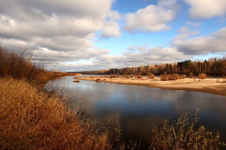 Река Ветлуга в Нижегородской области