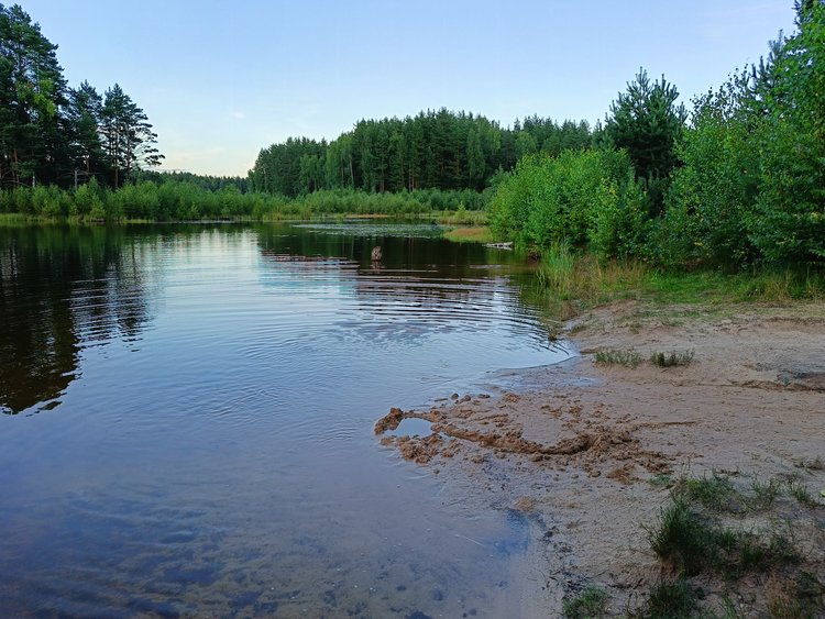 Пляж на Светлом озере