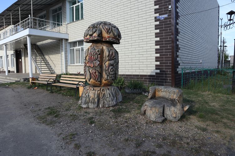 Памятник грибу в центре Пестяков
