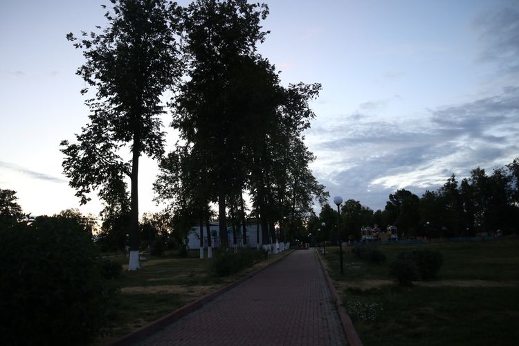 Городской сад в Ростове