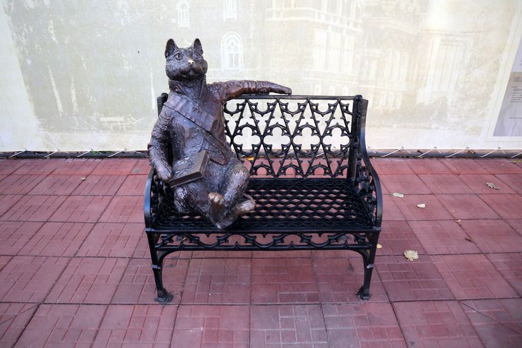 Шереметьевский кот в Юрине