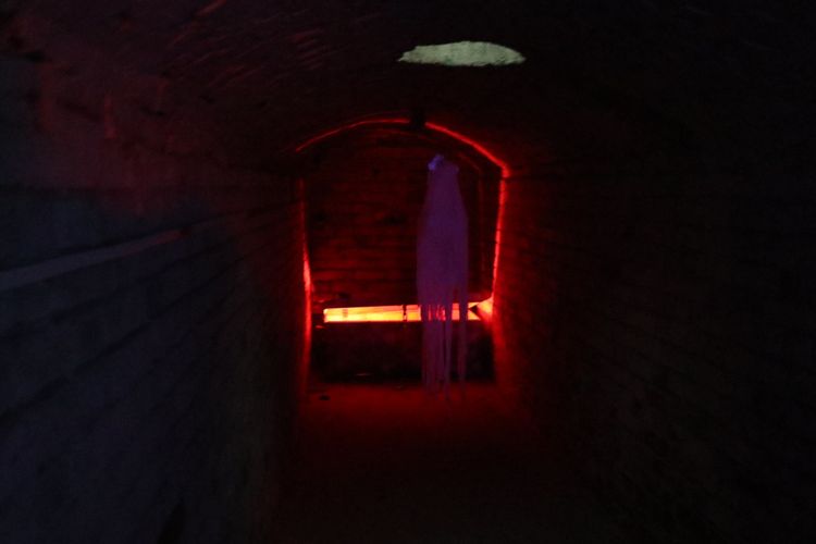 Призрак Палаши в подвале