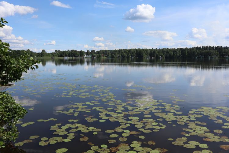 Введенское озеро | Озеро на западе Владимирской области — история,  описание, фото, координаты на карте, адрес, отзывы