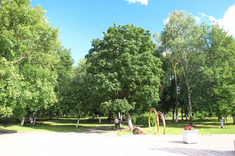 Парк в Юрьеве-Польском