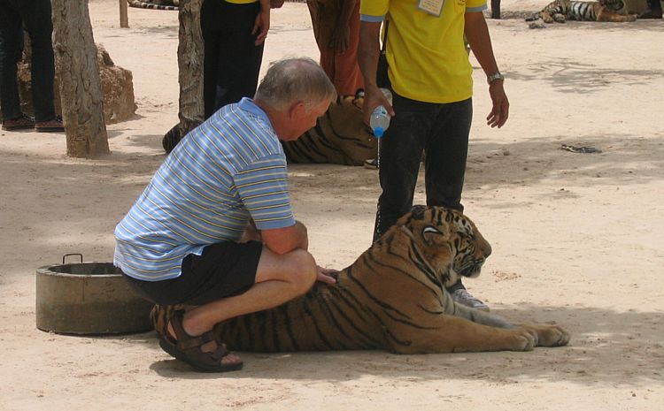 Тигровый монастырь в Таиланде