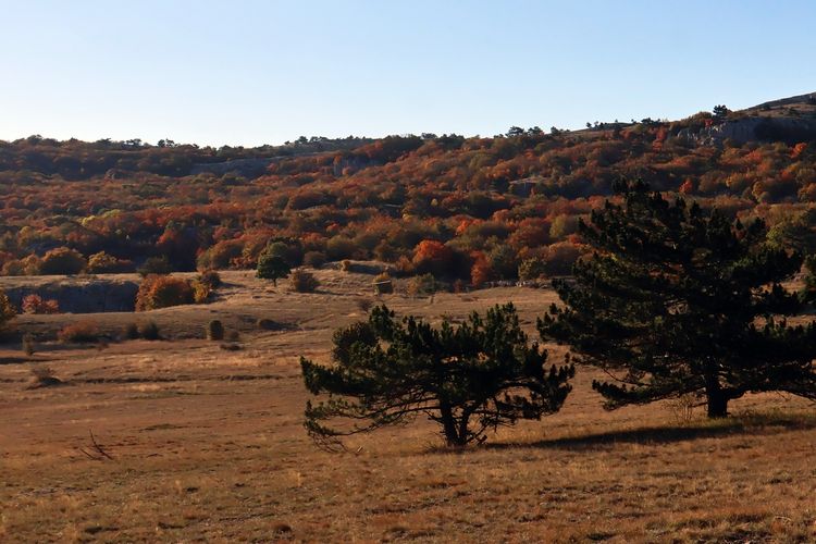 Геофизическая пещера в Крыму