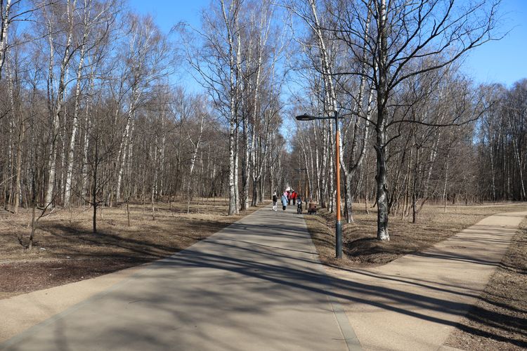Лесопарк «Кусково» в Москве
