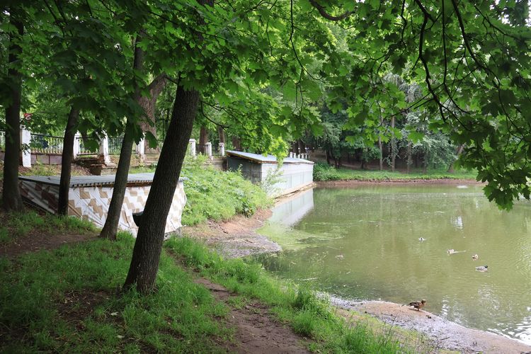 Плотина Венеры в Лефортовском парке