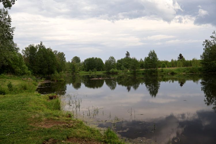 Барские пруды в Муромцеве