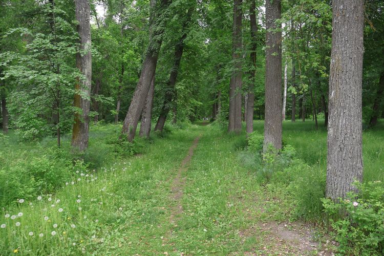 Аллея в парке в Муромцеве