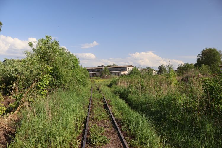 Мезиновская УЖД